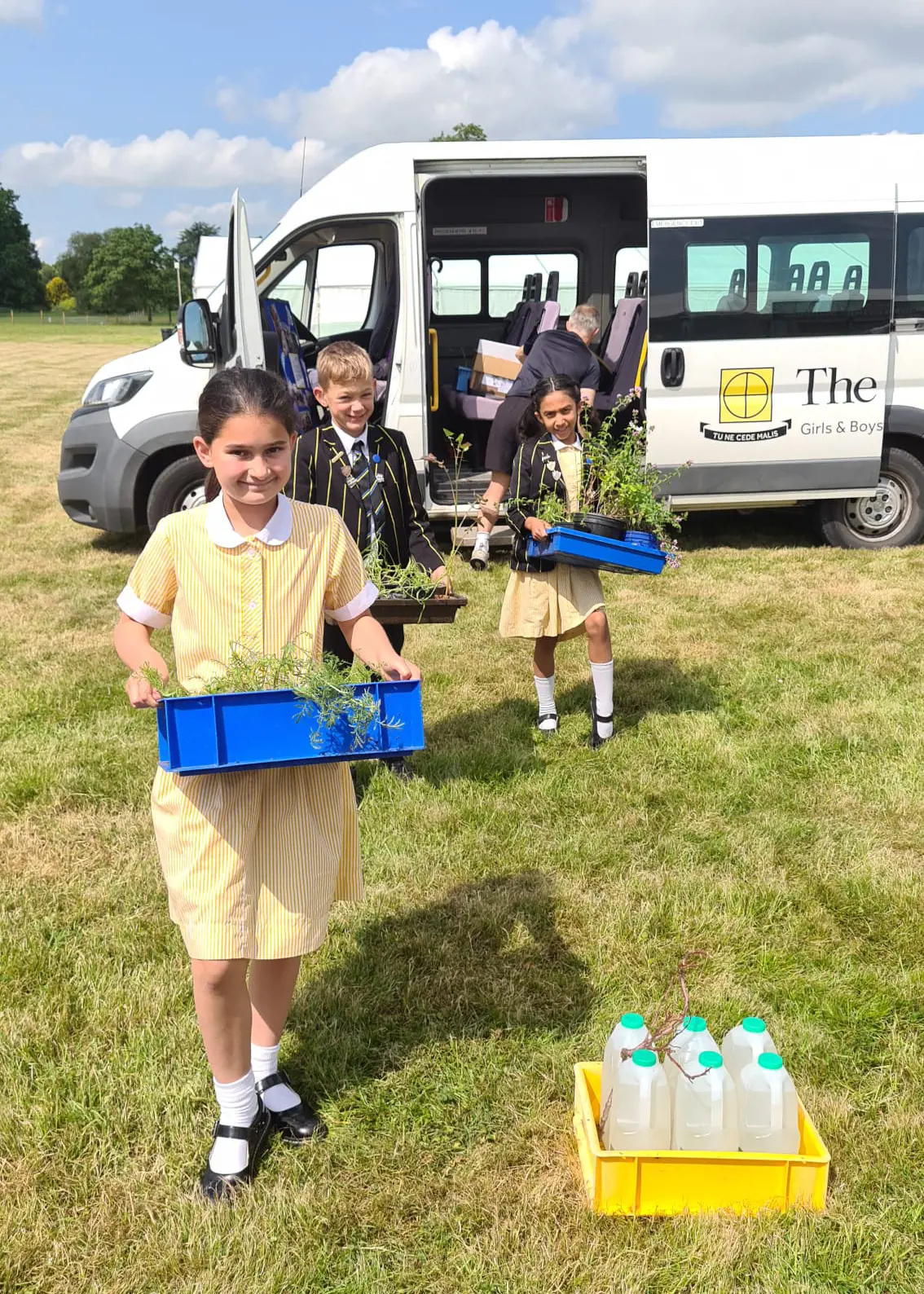 OptimizedImage,Optimized