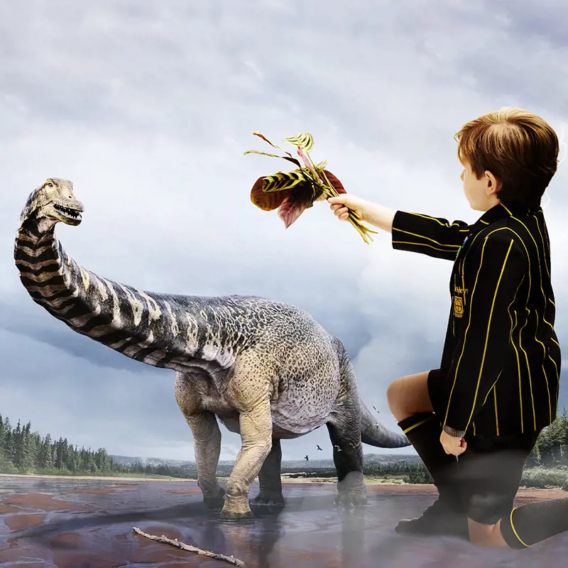 OptimisedImage,Optimised