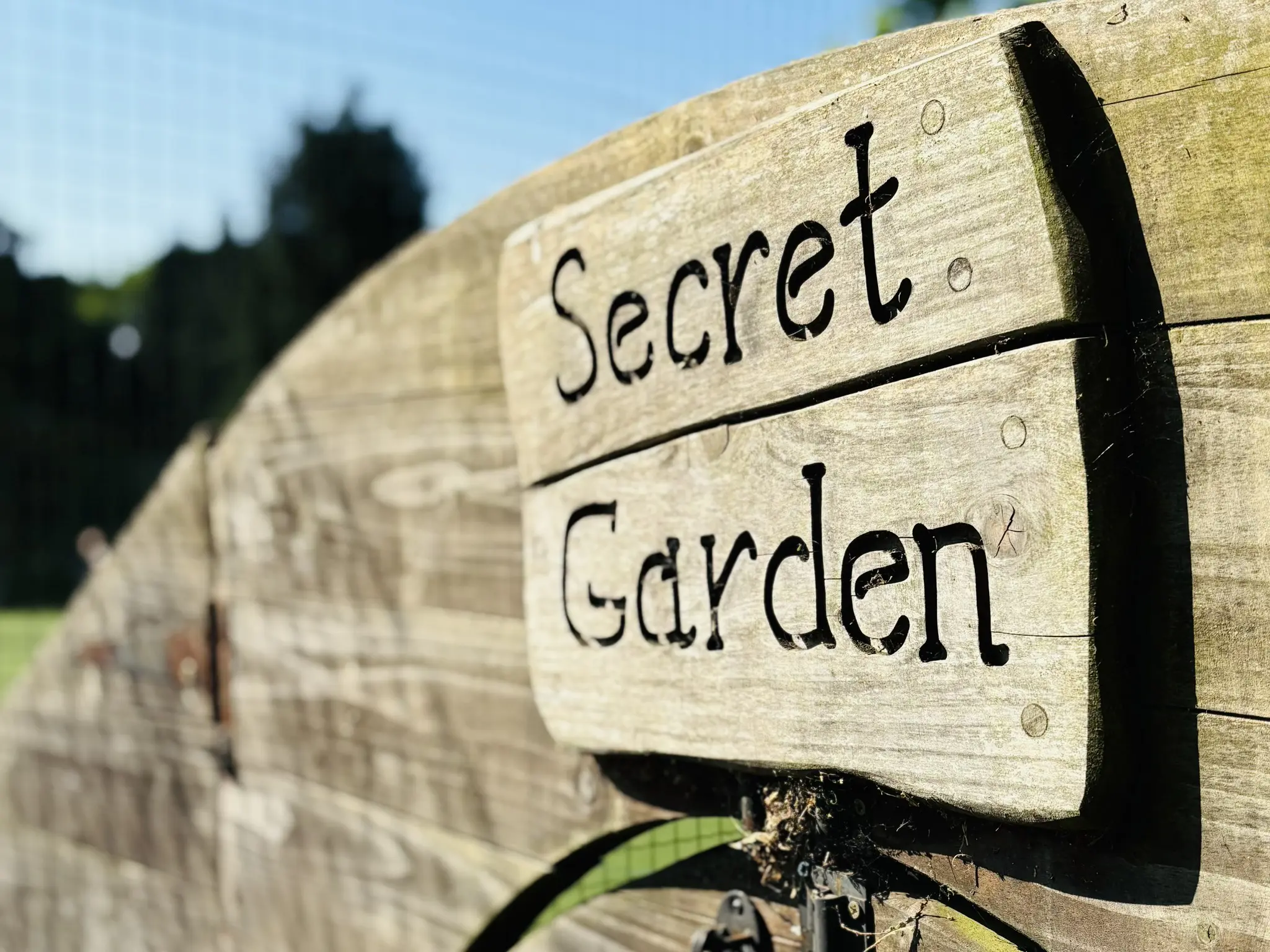 OptimizedImage,Optimized