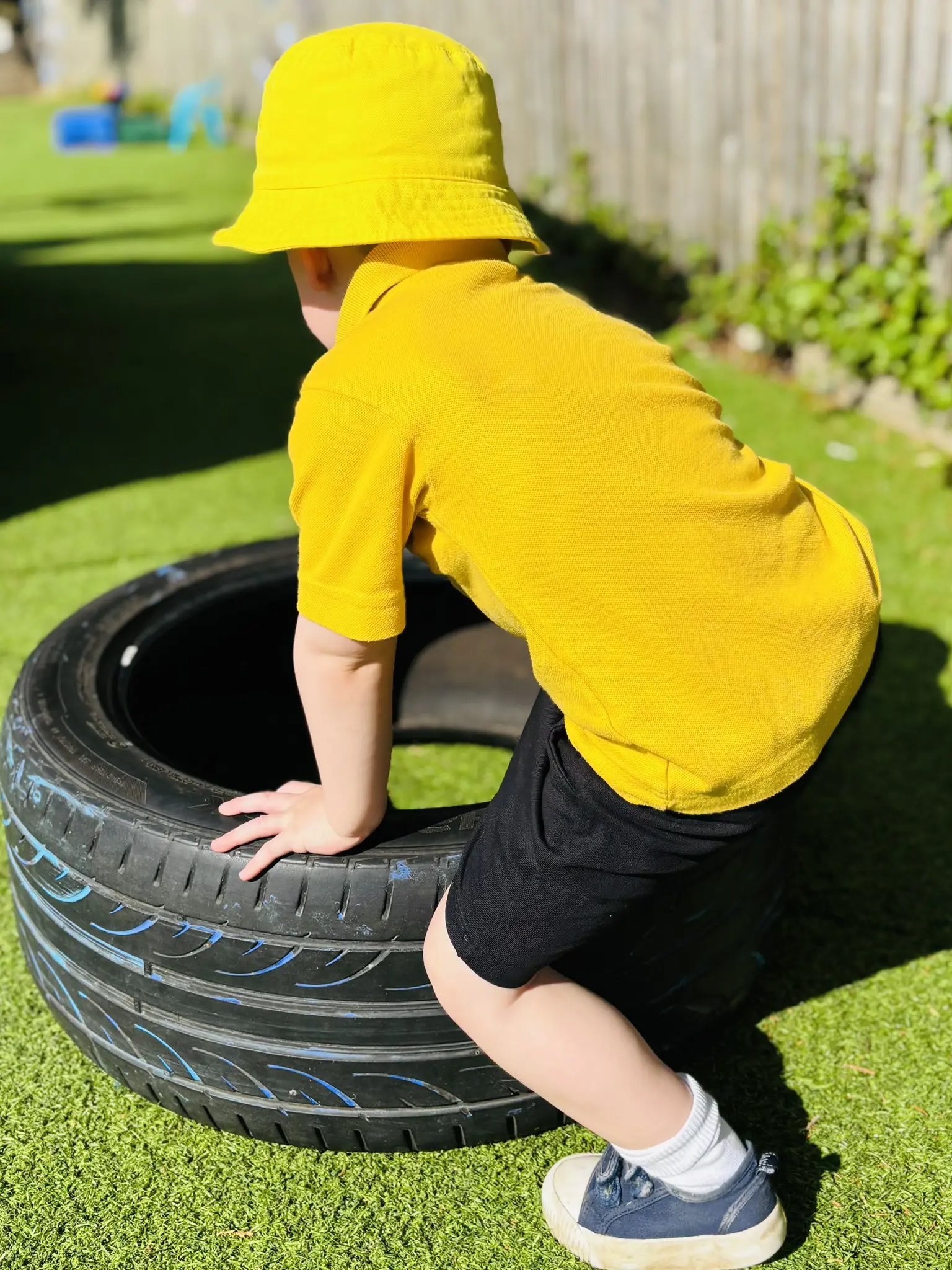 OptimizedImage,Optimized