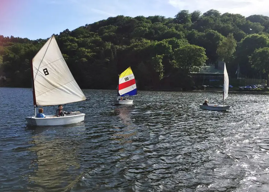 OptimizedImage,Optimized