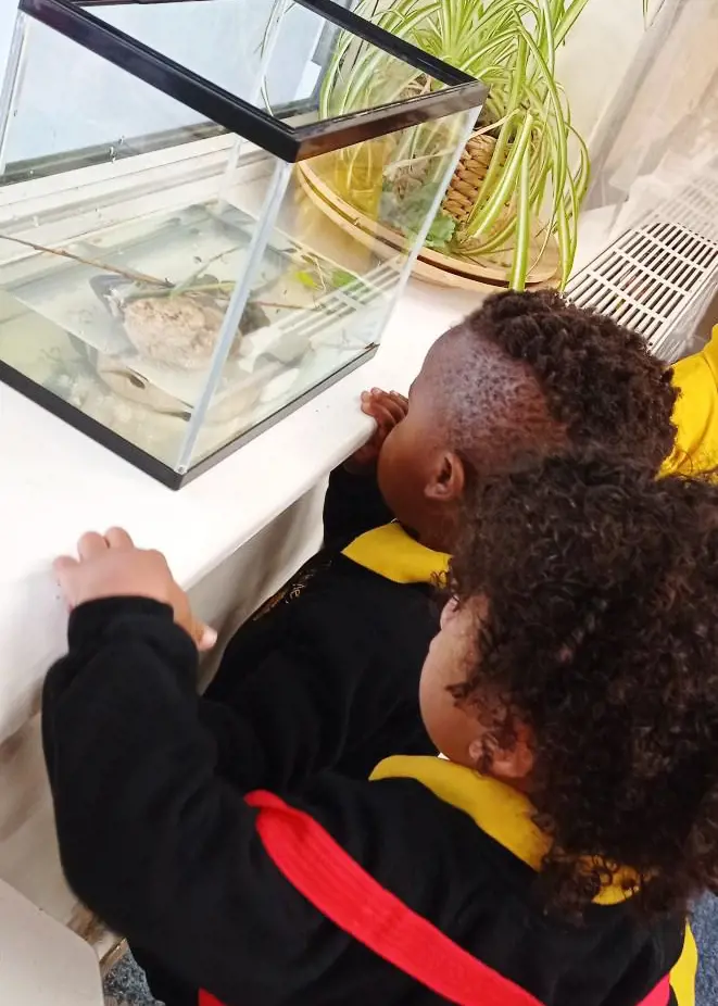 OptimizedImage,Optimized