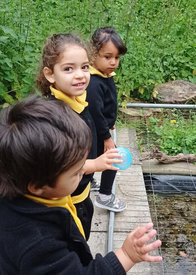 OptimizedImage,Optimized