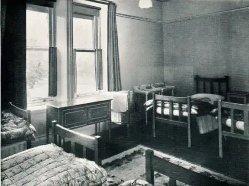 OptimisedImage,Optimised