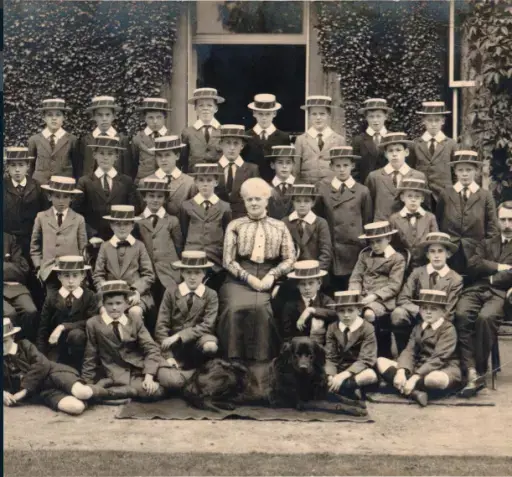 OptimisedImage,Optimised