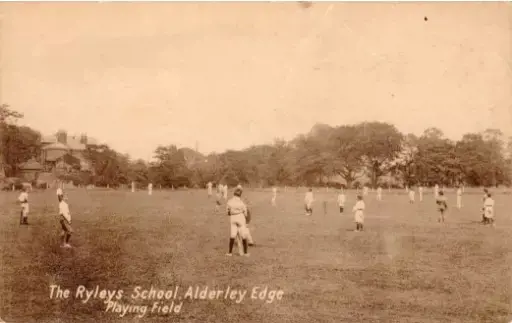 OptimisedImage,Optimised