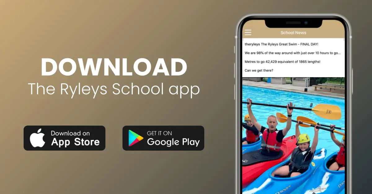 OptimizedImage,Optimized,news