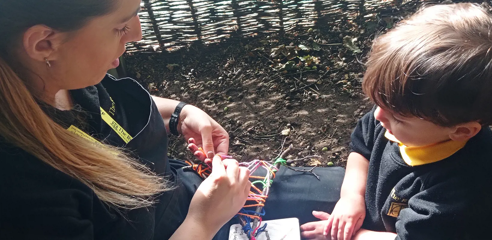 OptimisedImage,Optimised